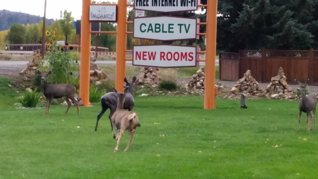 Long Holiday Motel Gunnison Exterior photo